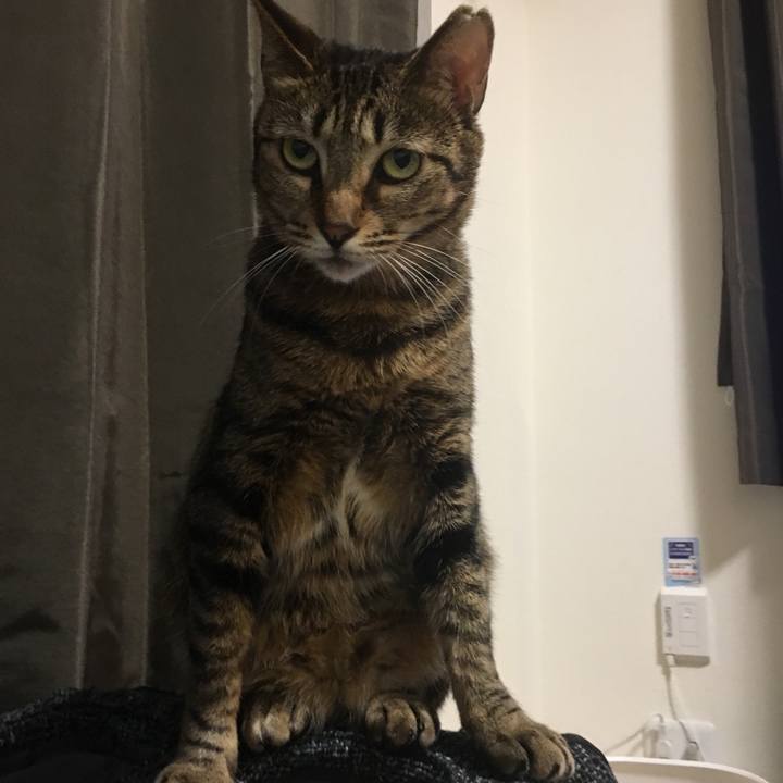 40d8dc1c 77f7 49f0 bc1d a93f9a3e3297 1524580497659