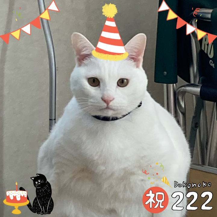 40d8f67a 6285 4705 a566 b31837e642f7 1645494467700