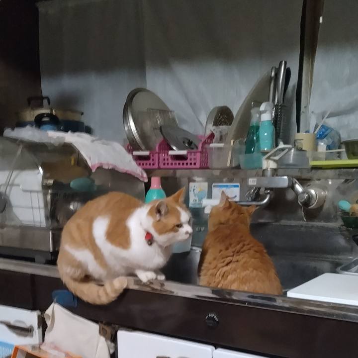 40d91999 c9ce 496d 86ad 74caf6ebcc42 1764389929830