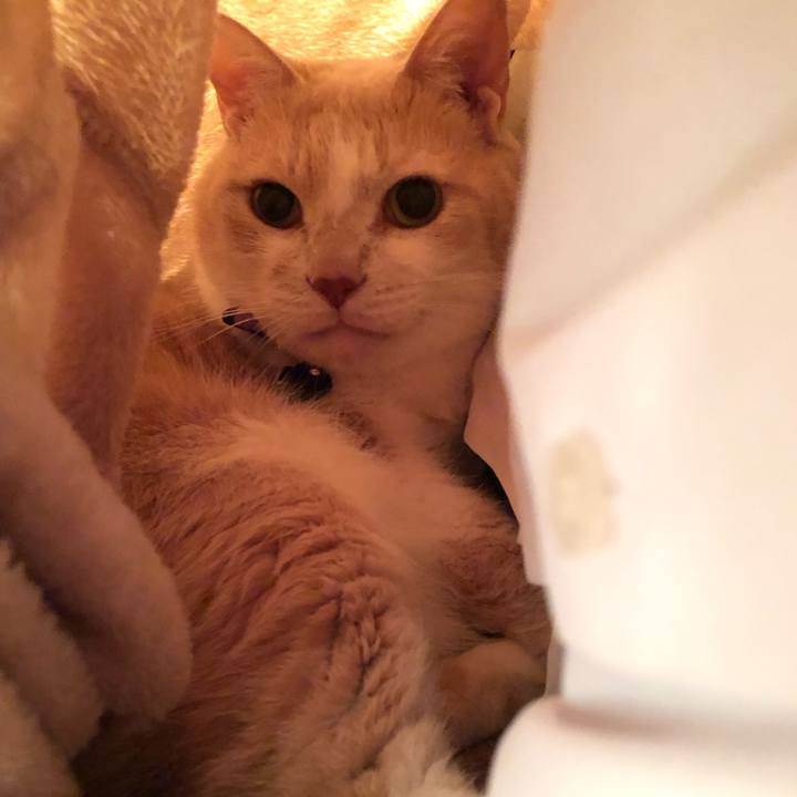 40d93501 bed2 4a84 85e4 b1635d79f779 1547812994788