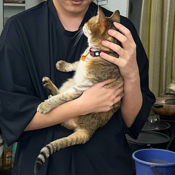 40d93f39 fd34 4103 accc a851059d1958 1766635865218