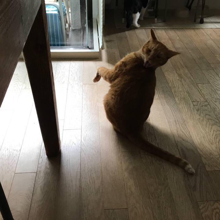 40d93fdd bea4 4d23 86d0 8f9346a2741a 1508477770604