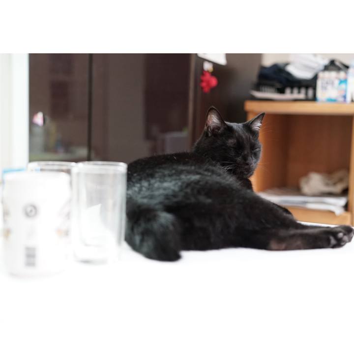 40d96605 69dc 4946 b8d8 e3915f8fc9a1 1560471112378