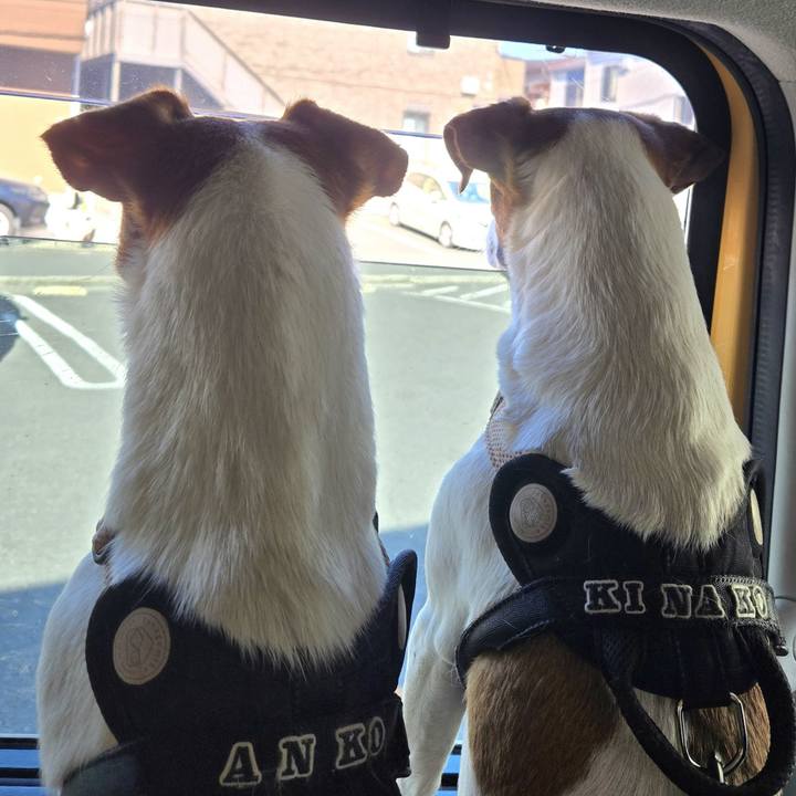 40d98e04 987f 47bd bcae b1c4ff7c5bff 1769835057310