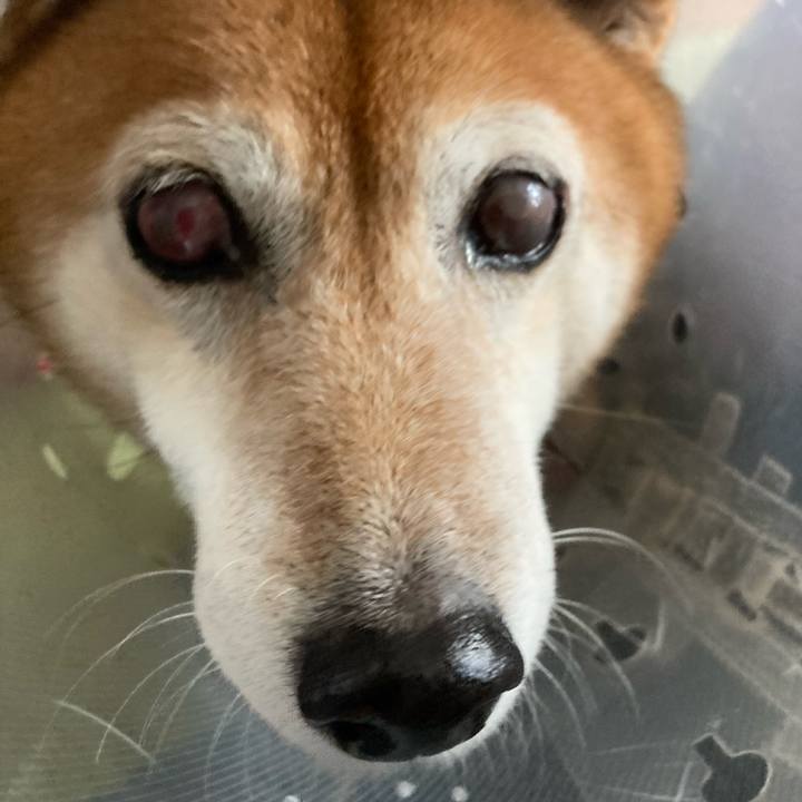 40d9ab8a f40c 42cd 9491 082207668f2f 1668138149224