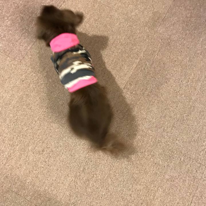 40d9ad00 ccc3 422a 9715 763c851aa84b 1525904701078