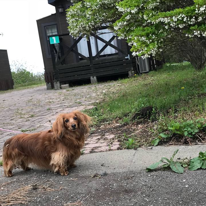 40d9ccaa f814 4809 b425 9392e511d3fc 1526243946705