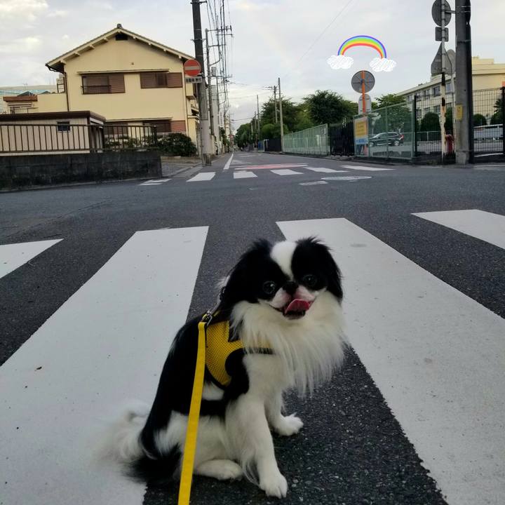 40d9e79a 63b7 4cf3 8d44 c138f485d561 1660259435377