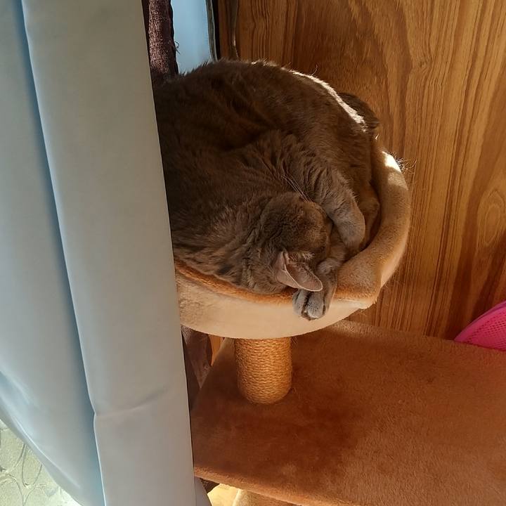 40d9f9ba d987 45b4 82ad 507a723e701e 1615687251188