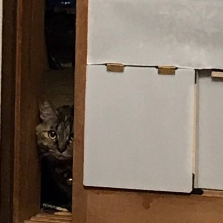 40da1c62 0b5a 4b97 b270 52193fc64244 1543237885880