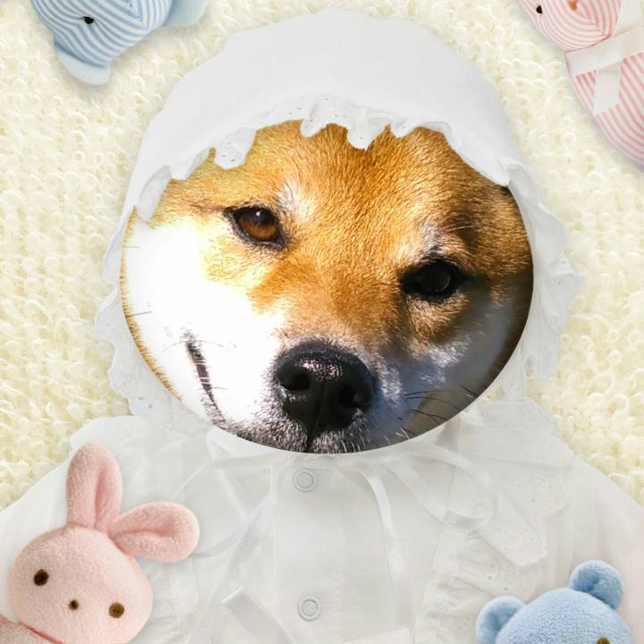 40da2762 4d88 4ae7 b60e f4873c81c739 1509206838892