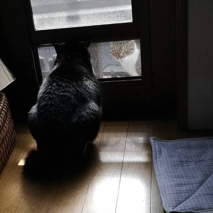 40da2bff e697 4007 a2a3 f4a272c0b071 1668660046144