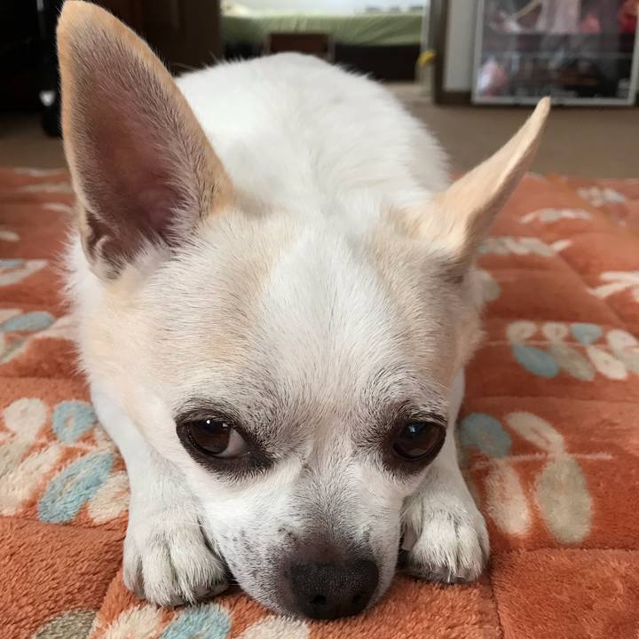 40da339d f8b8 4193 bb9c d3e932f99641 1538743269659