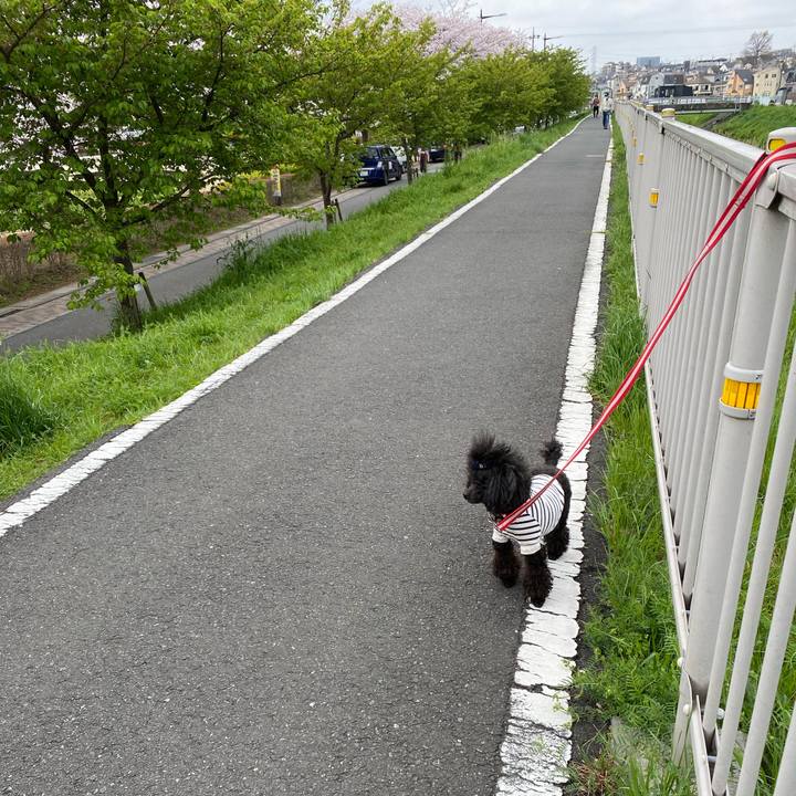 40da4baf 2e63 4afb 9c63 db559531d522 1648691012563