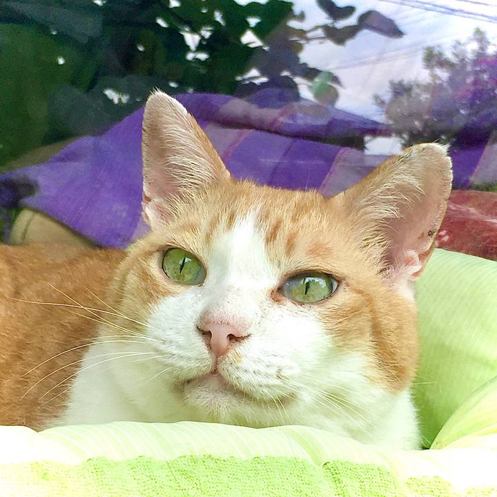 40da5ce2 dd3c 420b be65 511899d5e5f3 1598082512528