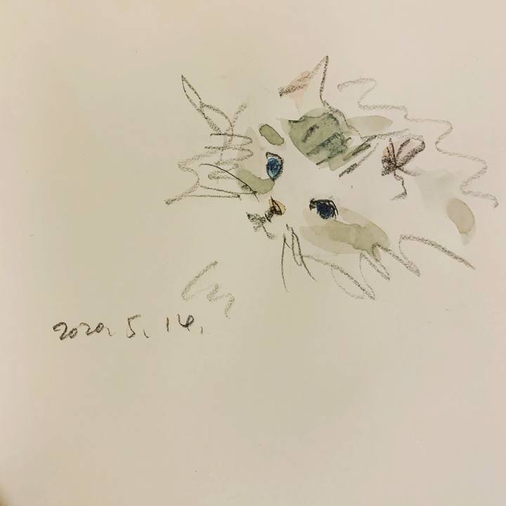 40daa8ae 8756 4d5e bbdc f50de64cd26b 1589458117696