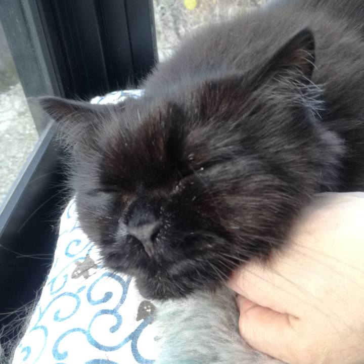 40dad0fc 19e8 4a32 822c ae18a90a0a8b 1510460535173