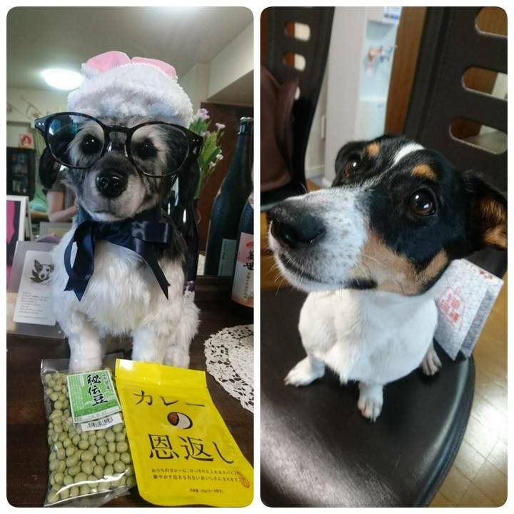 40dad31d 80b8 43f1 9f1b affb8ca4986d 1528607246693