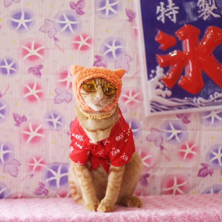 40daf2be 4683 4302 8486 90c9543ad91e 1690166050229