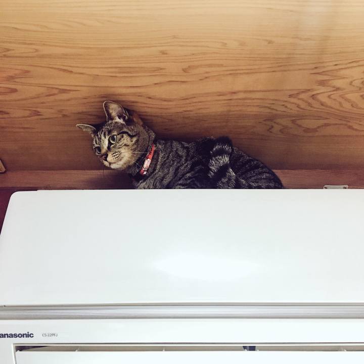 40db2385 f972 41b0 b1cc 560a6cb73328 1518830734494