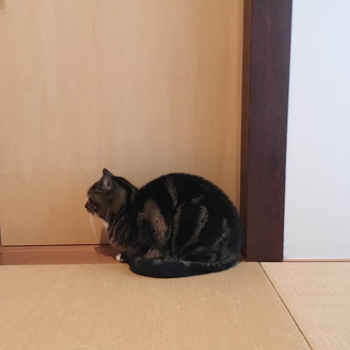 40db68a8 4615 4176 b744 73de8b5a643a 1579183394635