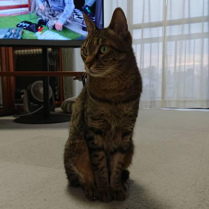 40db7a21 59bc 404a a8df 3a0509c7a8c3 1619600896672