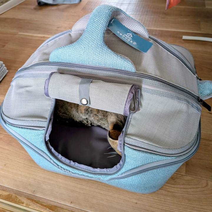 40dc2379 c5a8 4ad9 9117 9b957a36033c 1747189681272