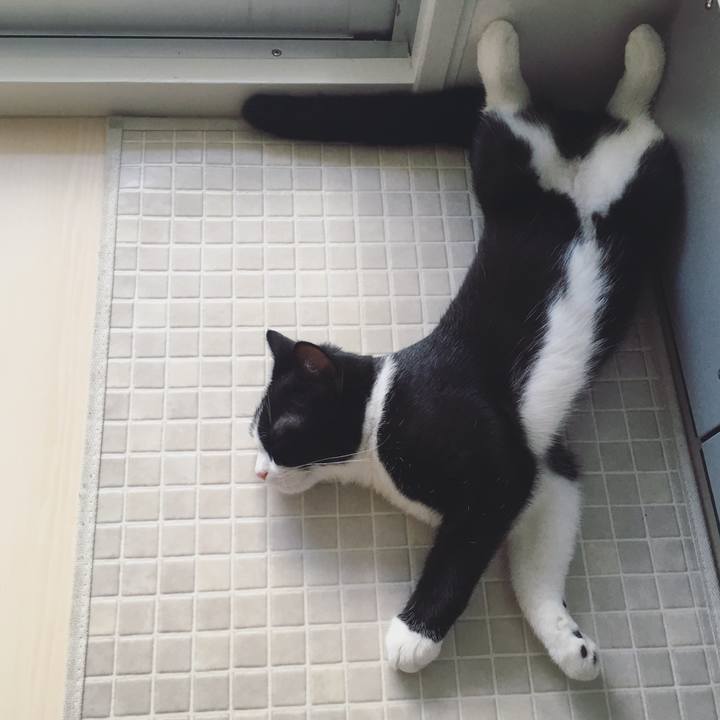 40dc8619 a690 4bca bedd 390e9bc916c4 1531030748594