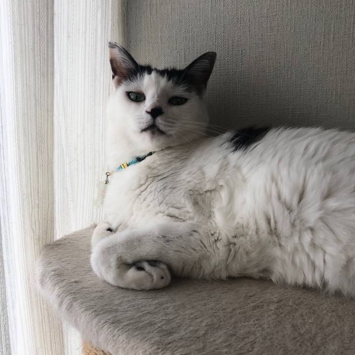 40dc9b5d 6b90 4993 af7a 4eb2a7c053d6 1536708117383