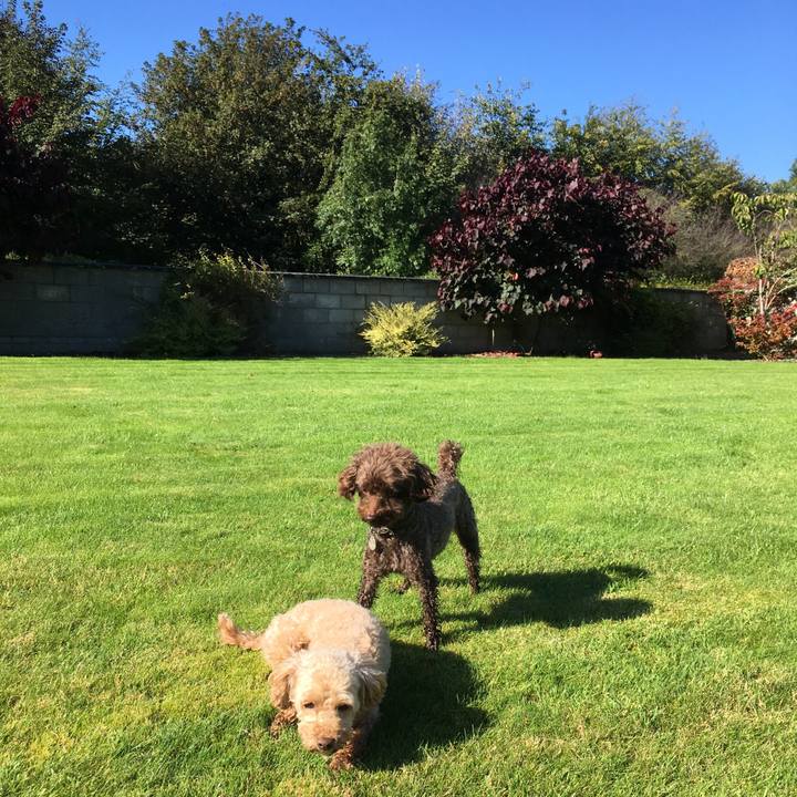 40dcafec 5eb8 4dc8 bbfa 99732cd1cf79 1568716139965