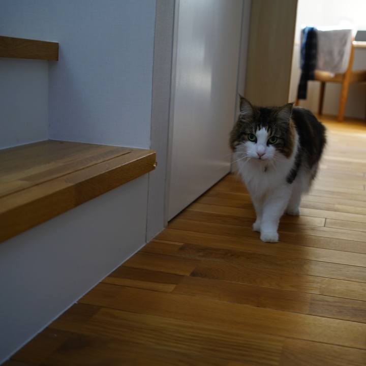 40dcbb7d 322d 4389 96a4 367464237792 1604487484742