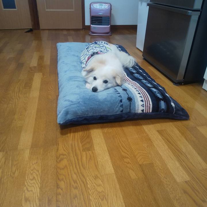 40dcce87 1d9e 4805 9715 36d60e6fc433 1638067852787