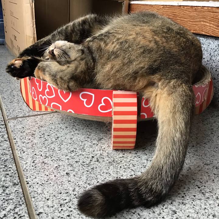 40dcf0c0 f9a6 4df6 ae4c ae143ea1c67c 1599893296303