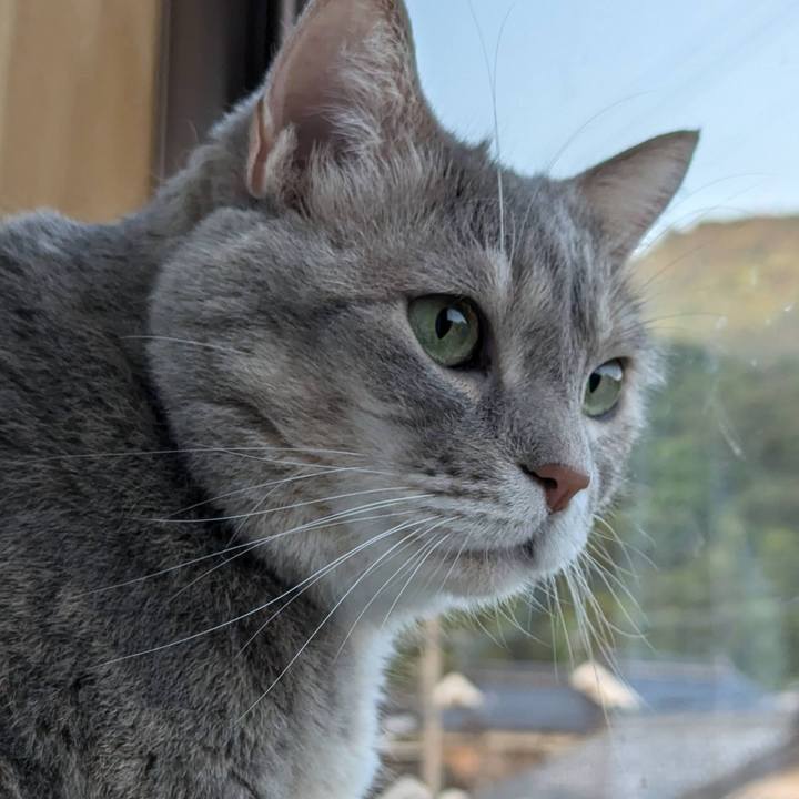 40dd1780 7432 407d a86a 1b66bbf87506 1725359399821