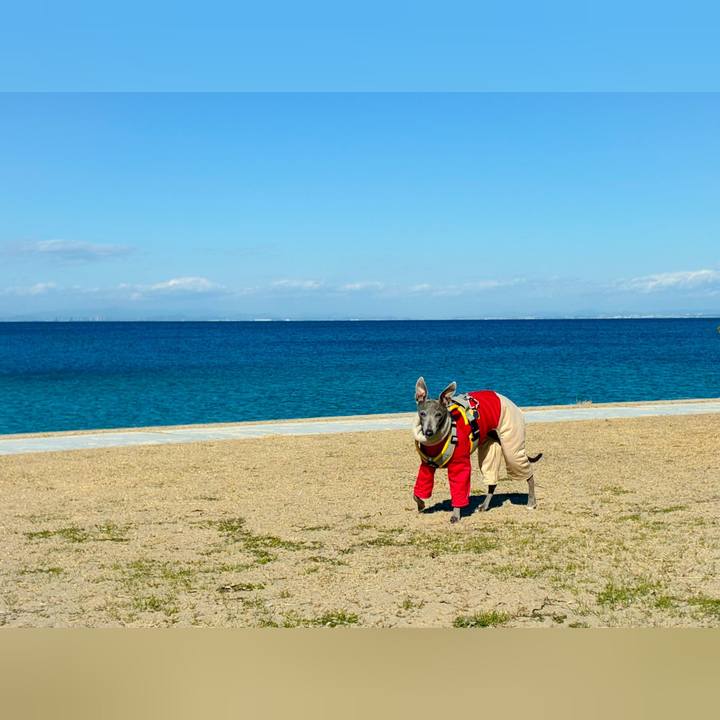 40dd3e10 fe8a 4524 8206 03826db3818c 1768381496371