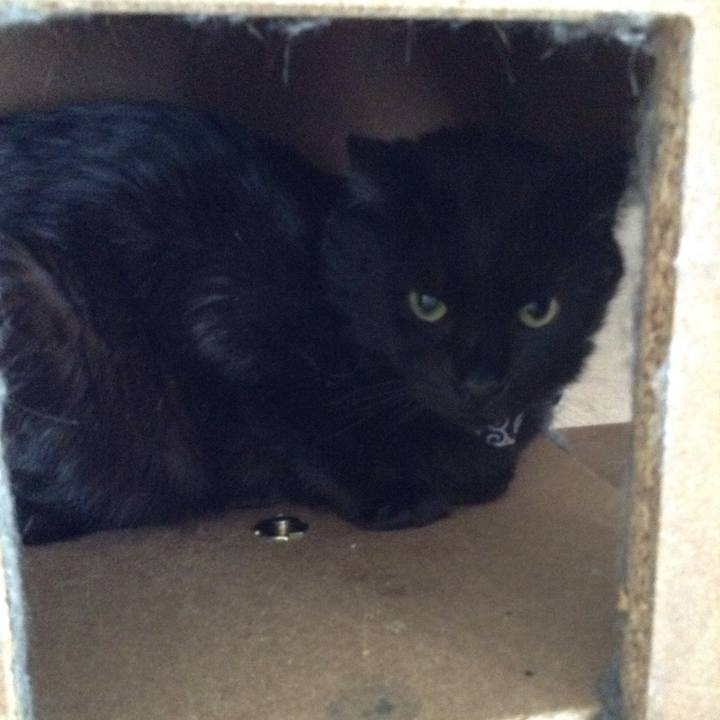 40dd4a8a 24cc 4334 b7e6 e7501fb19479 1552716386315