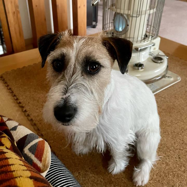 40dd52f6 6335 4e88 b887 cc3a1d175a0f 1644740580311