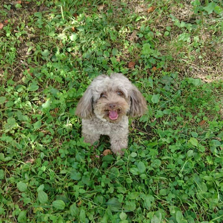 40dd69fa 6dd0 4d35 9deb 0b4cd006ee65 1538801207694