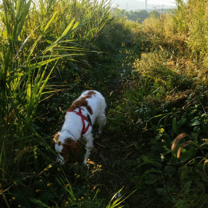 40dd9e82 5994 41e2 a42a 8a9d79388569 1541331054564