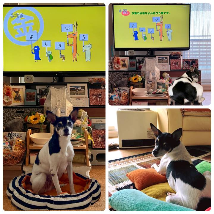 40ddb4be 81d1 4cc4 8973 f56deb9469a3 1668722563811