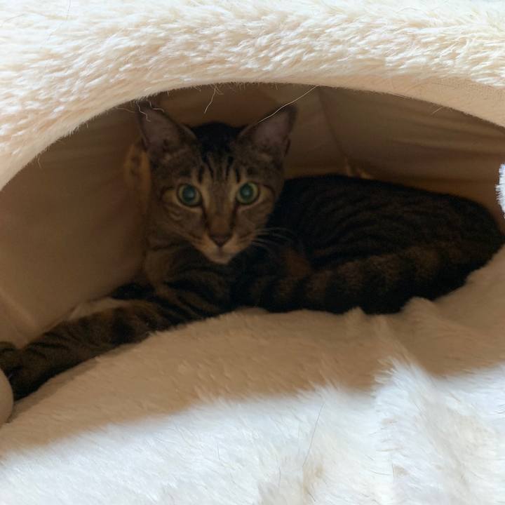 40ddc79f 77f9 4bff bfc3 9e8109200733 1563153848542