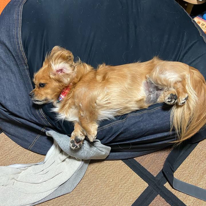 40de45ed ef97 4a46 bb9c 836e4be0548d 1575728640712