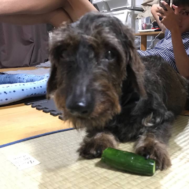 40de499d 27e0 459c ab11 8b219e591e0a 1564148313664