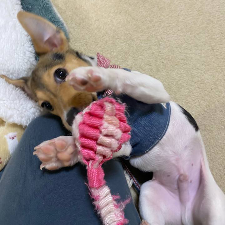 40de4dbe 3811 40fd 8778 e6320170d851 1744060660061