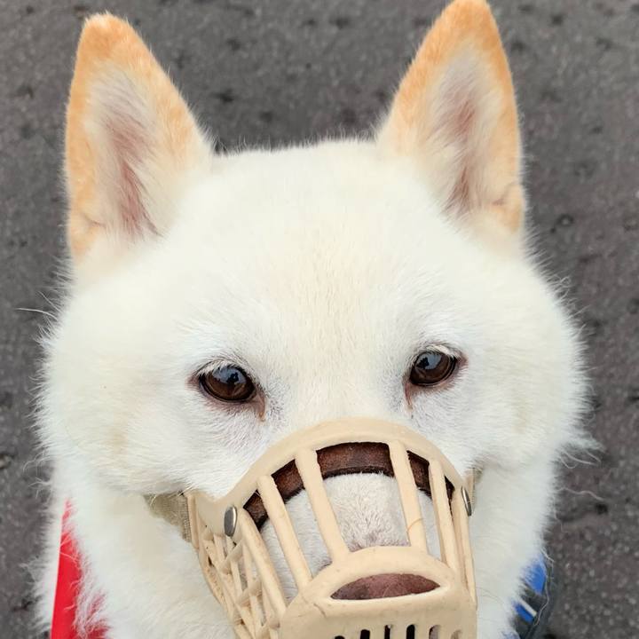 40de5480 493d 454f 9f9c 61d445012caf 1654979720245