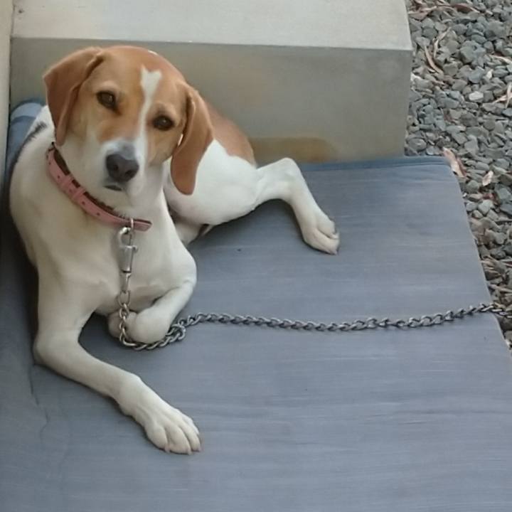 40de785a b391 4a64 bd81 07a160bbcc21 1589695674869