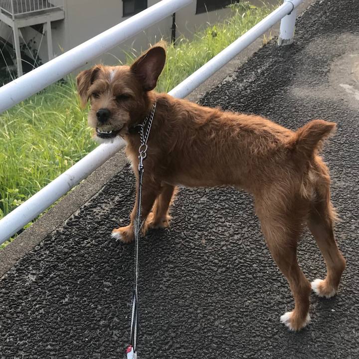 40deaaee f649 44c3 ab71 ffa055625589 1568721813963