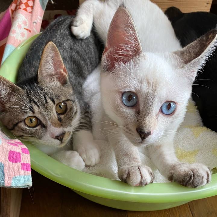 40decd3a 87c4 4e6a 802c b0962c554426 1629682043913