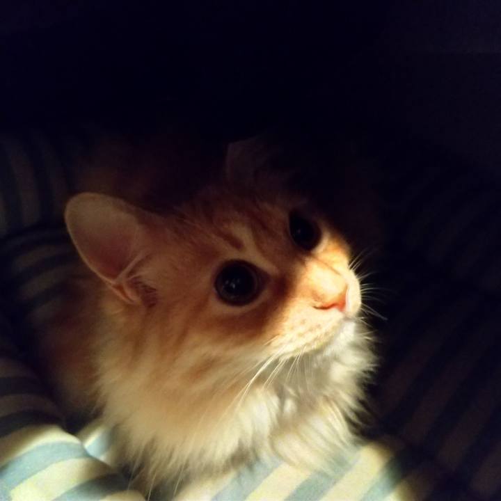 40deea6d 6693 4a6a 8e8c a5d82731bf39 1647552953669