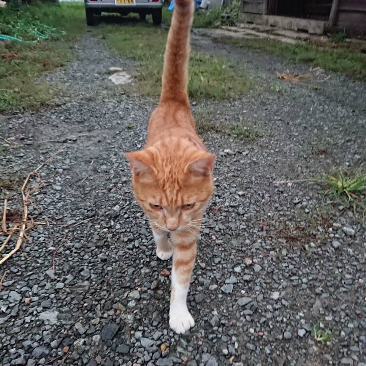 40df0082 e64c 4276 9e47 769fade3762b 1568193331602